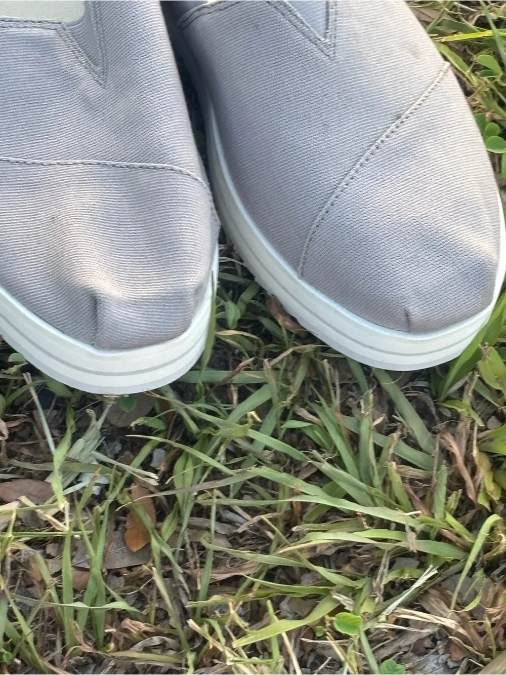 Toms grey canvas